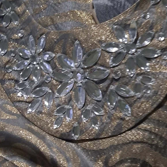 COPY - Central Falls dress, size 6 - Picture 9 of 10